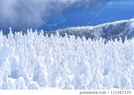 山形縣山形市山形藏王的霜凍樹木 111567370