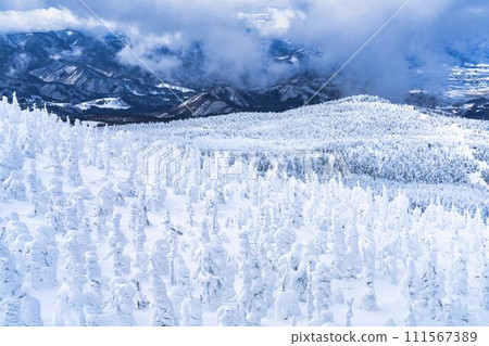 山形縣山形市山形藏王的霜凍樹木 111567389