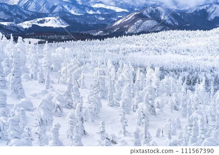 山形縣山形市山形藏王的霜凍樹木 111567390