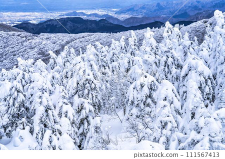 山形縣山形市山形藏王的霜凍樹木 111567413
