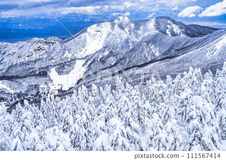 Frost-covered trees in Yamagata Zao, Yamagata City, Yamagata Prefecture 111567414