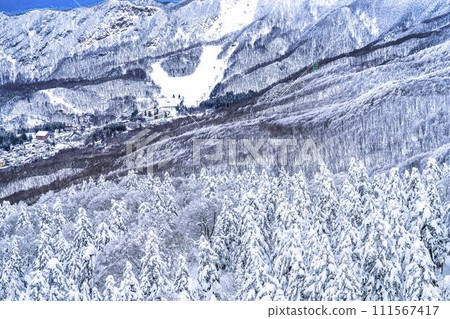 Frost-covered trees in Yamagata Zao, Yamagata City, Yamagata Prefecture Frost-covered trees in Yamagata Zao, Yamagata City, Yamagata Prefecture 111567417