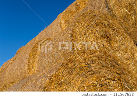 Piled hay bales on a field against blue sky Piled hay bales on a field against blue sky 111567638
