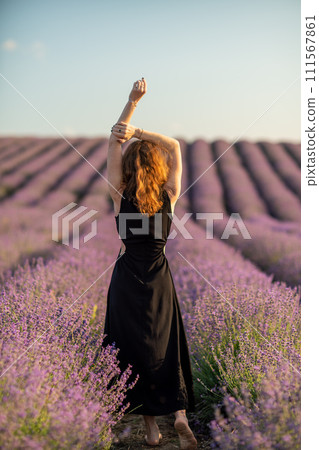 Back view woman lavender sunset. Happy woman in black dress. Aromatherapy concept, lavender oil, photo session in lavender Back view woman lavender sunset. Happy woman in black dress. Aromatherapy concept, lavender oil, photo session in lavender 111567861