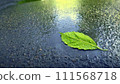 A single green leaf in a puddle on wet asphalt. 111568718