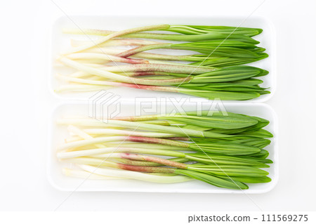 白色背景上的苦行者大蒜 白色背景上的苦行者大蒜 111569275