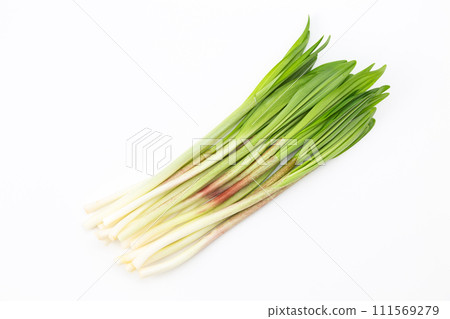 Ascetic garlic on white background Ascetic garlic on white background 111569279