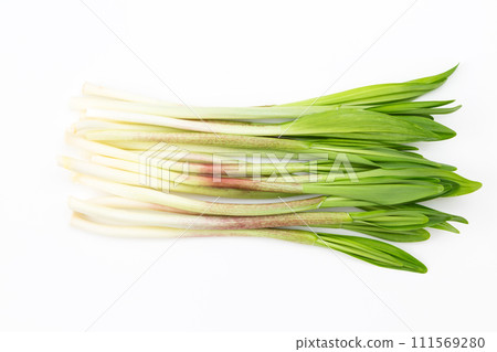 Ascetic garlic on white background 111569280