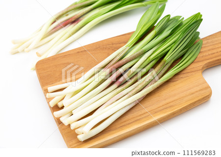 Ascetic garlic on white background Ascetic garlic on white background 111569283