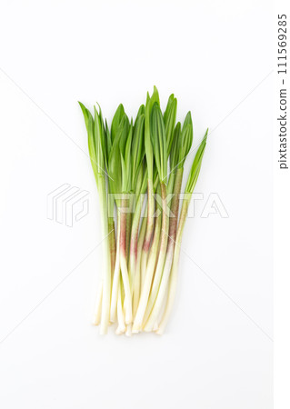 Ascetic garlic on white background Ascetic garlic on white background 111569285