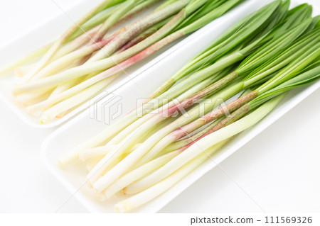 Ascetic garlic on white background Ascetic garlic on white background 111569326