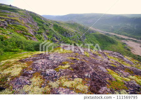 Mountain tundra in Lapland Mountain tundra in Lapland 111569795