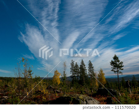 Colorful mountain in Swedish Lapland Colorful mountain in Swedish Lapland 111570020