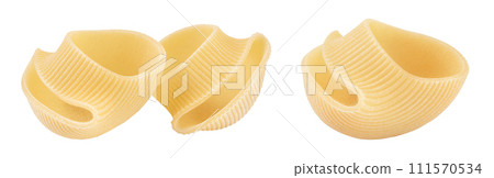 lumaconi pasta isolated on white background with full depth of field lumaconi pasta isolated on white background with full depth of field 111570534