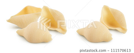 Conchiglioni italian pasta isolated on white background with full depth of field Conchiglioni italian pasta isolated on white background with full depth of field 111570613