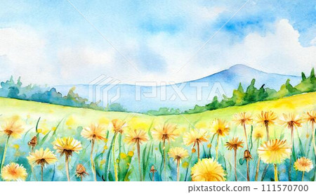 Yellow dandelion flowers blooming on a green meadow 111570700