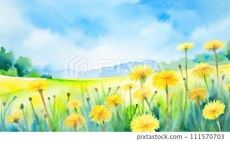 黃色蒲公英花在綠色的草地上綻放 111570703