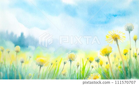 Yellow dandelion flowers blooming on a green meadow Yellow dandelion flowers blooming on a green meadow 111570707