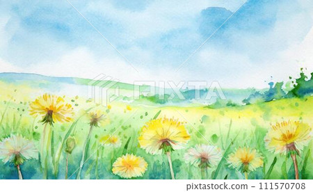 Yellow dandelion flowers blooming on a green meadow 111570708