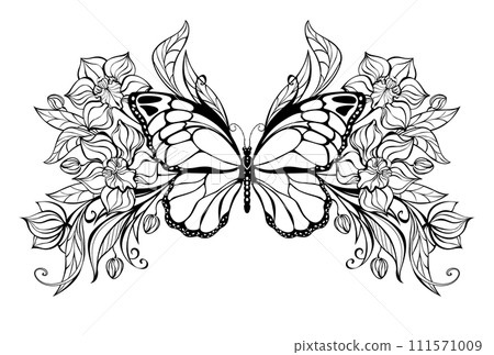 Contoured butterfly with contoured orchids Contoured butterfly with contoured orchids 111571009