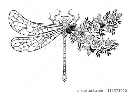 Flower dragonfly with contour rose Flower dragonfly with contour rose 111571010