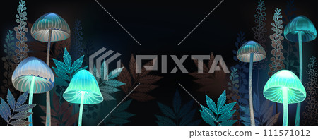 Glowing toadstools banner 111571012