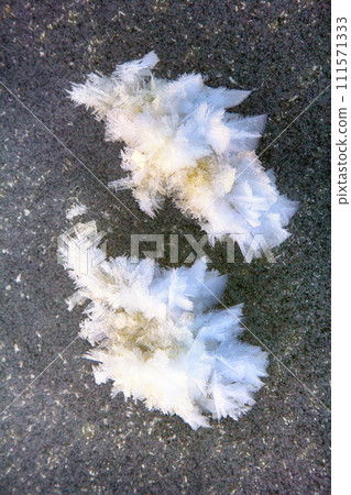 background ice beautiful after a heavy frost. 111571333