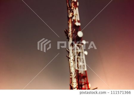 Modern telecommunication tower and destroyed forest tundra Modern telecommunication tower and destroyed forest tundra 111571366