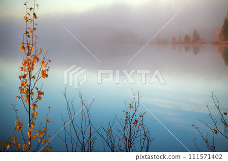 beauty of autumn beauty of autumn 111571402