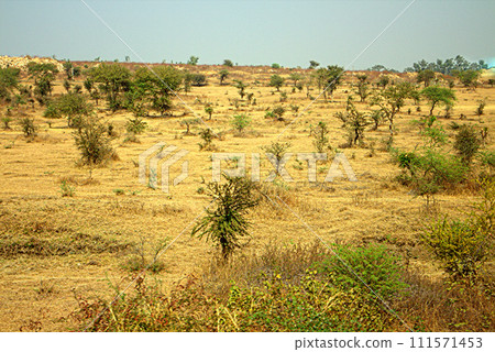 Area around Nagpur, India. Dry foothills Area around Nagpur, India. Dry foothills 111571453