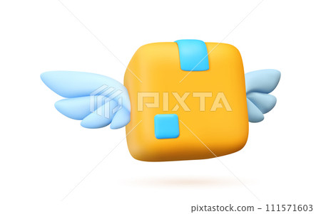 Vector 3d icon box with wings. 111571603