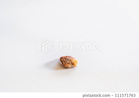A large cat tartar that has been removed easily 111571763