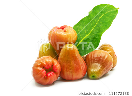 Rose Apple on a white background 111572188