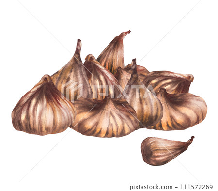A pile of dried figs fruit, handful picked whole fruit in various shapes. Food, plant clipart for card, label, sticker, logo, price tag Hand drawn watercolor illustration. Isolated on white background A pile of dried figs fruit, handful picked whole fruit in various shapes. Food, plant clipart for card, label, sticker, logo, price tag Hand drawn watercolor illustration. Isolated on white background 111572269