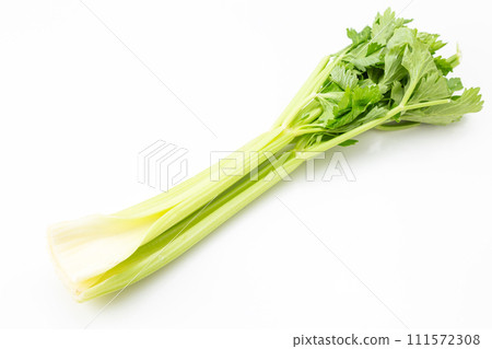 白色背景中的芹菜 白色背景中的芹菜 111572308