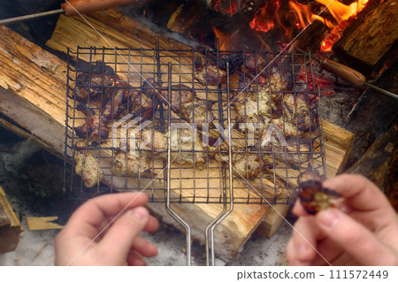 Pieces of kebab roasted in grill Pieces of kebab roasted in grill 111572449