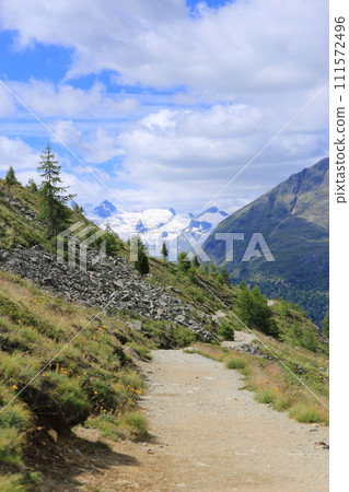 從通往 Alp-Languardt 的山路上看到的 Piets Grüscheind（瑞士格勞賓登州） 111572496