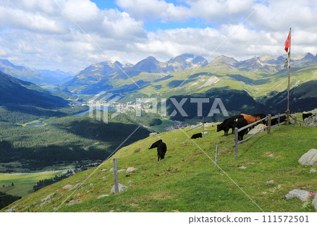 Under a clear summer sky, walking along the mountain trail while admiring the spectacular view from Muottas Murail (Graubunden, Switzerland) Under a clear summer sky, walking along the mountain trail while admiring the spectacular view from Muottas Murail (Graubunden, Switzerland) 111572501