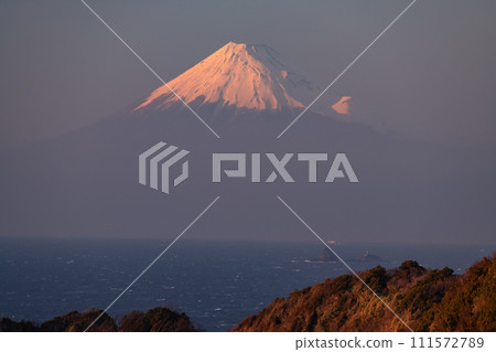 [Shizuoka Prefecture] Evening view of Mt. Fuji and Nishi-Izu seen from Kumomi Senganmon Gate 111572789