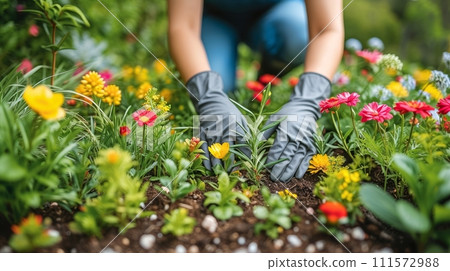 AI-generated content. A cheerful gardener in an apron plants flowers on a flower bed in her home garden. Gardening and floriculture. Flower care. 111572988