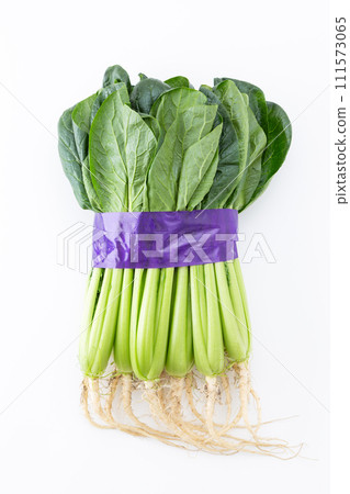 Komatsuna (with roots) on white background 111573065