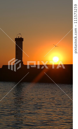 Lanterns at Hayakawa Port in Odawara City 111573259