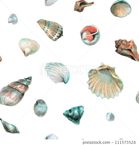 Seashell Pattern on isolated background. Hand drawn watercolor seamless ornament with Sea Shells for wrapping paper or textile in nautical style. Underwater illustration with cockleshell and scallop. Seashell Pattern on isolated background. Hand drawn watercolor seamless ornament with Sea Shells for wrapping paper or textile in nautical style. Underwater illustration with cockleshell and scallop. 111573528