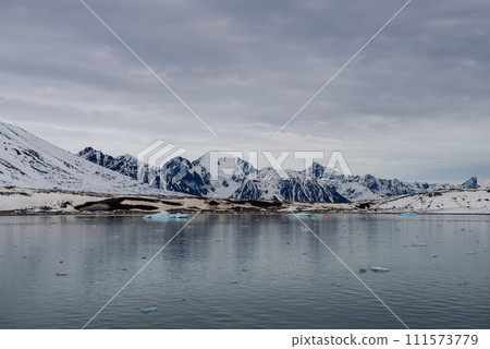 Arctic landscape with beautiful lighting in Svalbard 111573779