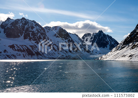 Arctic landscape with beautiful lighting in Svalbard 111573802