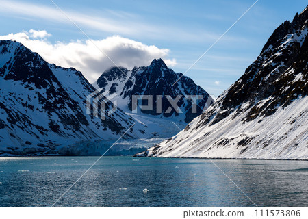 Arctic landscape with beautiful lighting in Svalbard 111573806