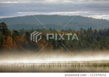 Gorgeous autumn landscape with river and misty forest Gorgeous autumn landscape with river and misty forest 111574232