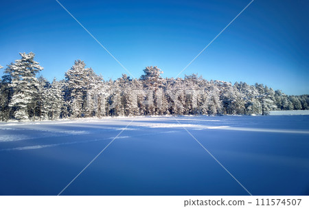 Spruce tree forest covered with snow and frozen lake. Spruce tree forest covered with snow and frozen lake. 111574507