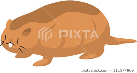 達馬拉蘭鼴鼠 111574969