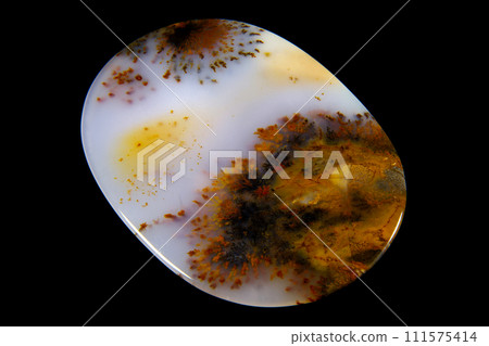 Dendritic Agate A stone that harbors landscapes Dendritic Agate A stone that harbors landscapes 111575414